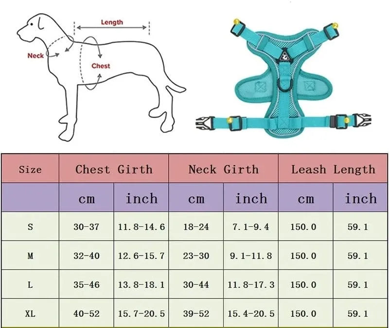 No-pull Dachshund Harness and Leash The Doxie World