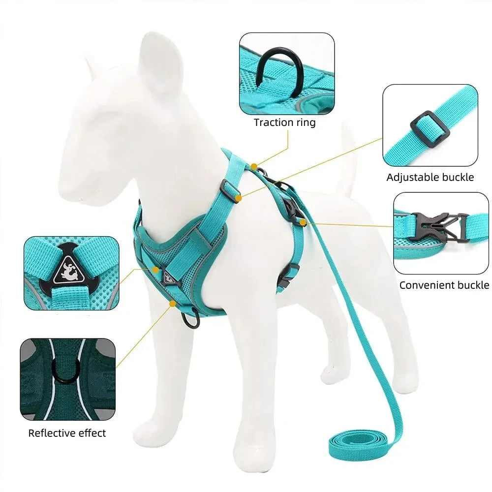 No-pull Dachshund Harness and Leash The Doxie World