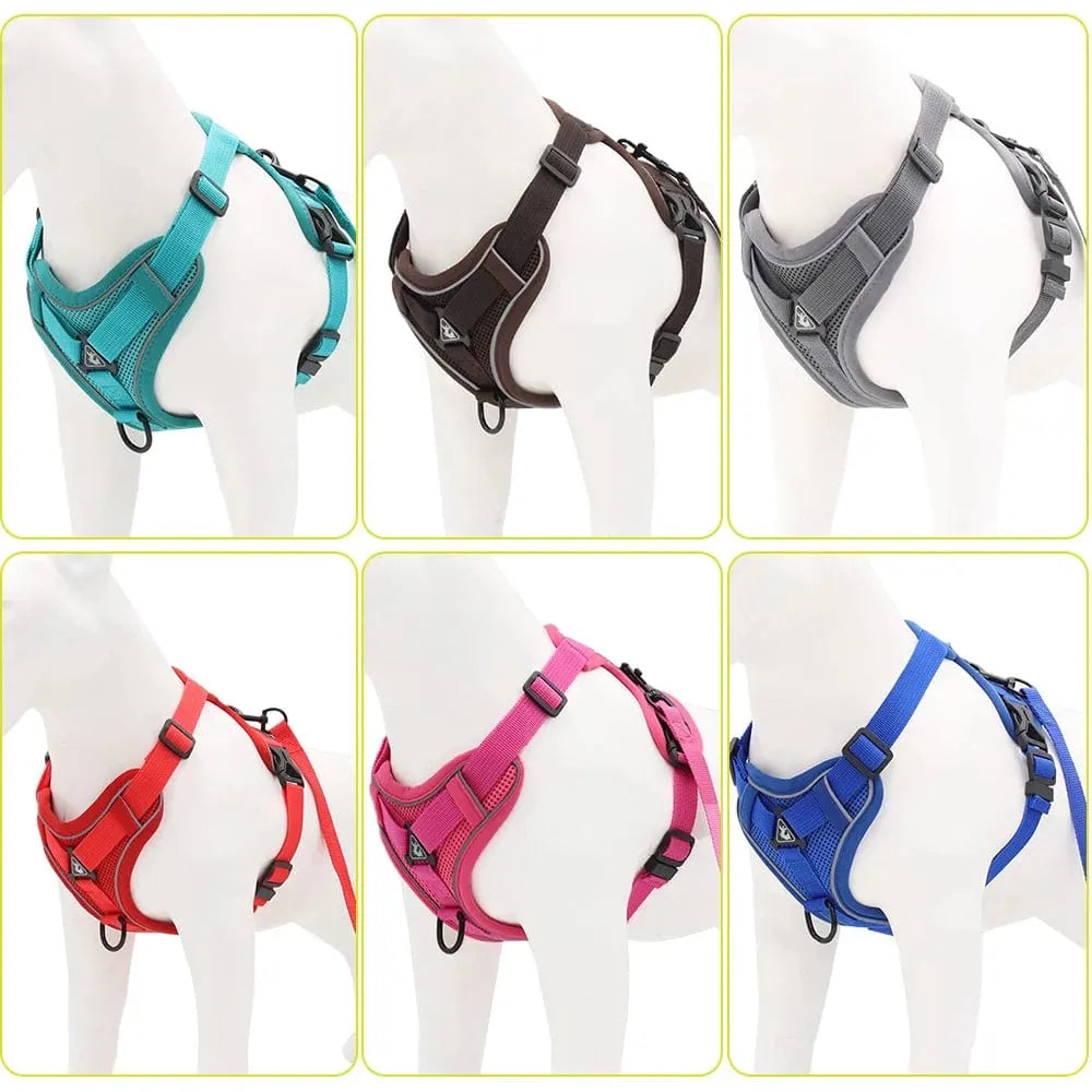 No-pull Dachshund Harness and Leash The Doxie World