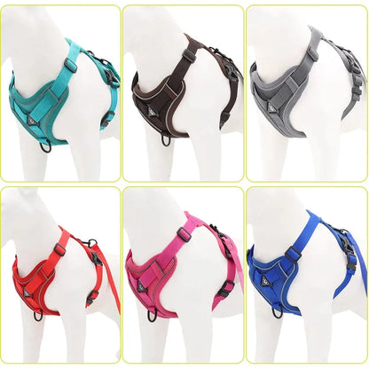 No-pull Dachshund Harness and Leash The Doxie World
