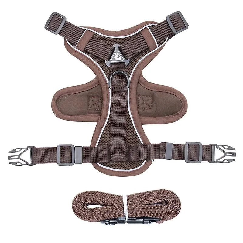 No-pull Dachshund Harness and Leash Coffee / S The Doxie World