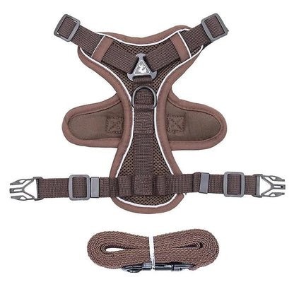 No-pull Dachshund Harness and Leash Coffee / S The Doxie World