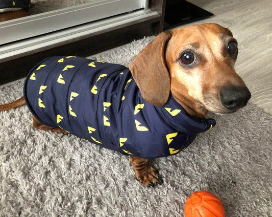 Owl Dachshund Coat Blue / S The Doxie World