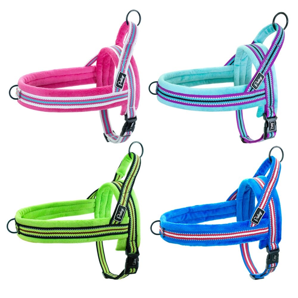 Padded No-Pull Reflective Dog Harness The Doxie World