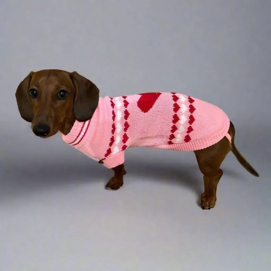 Pink Sweater for Wiener Dogs Pink Love / 6 The Doxie World