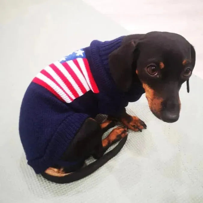 Pink Sweater for Wiener Dogs American Flag / 6 The Doxie World