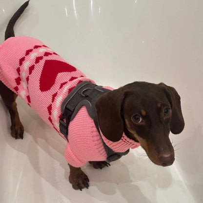 Pink Sweater for Wiener Dogs The Doxie World