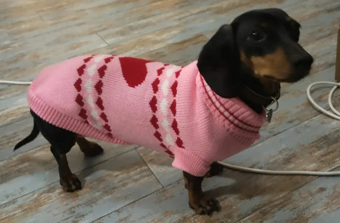 Pink Sweater for Wiener Dogs The Doxie World
