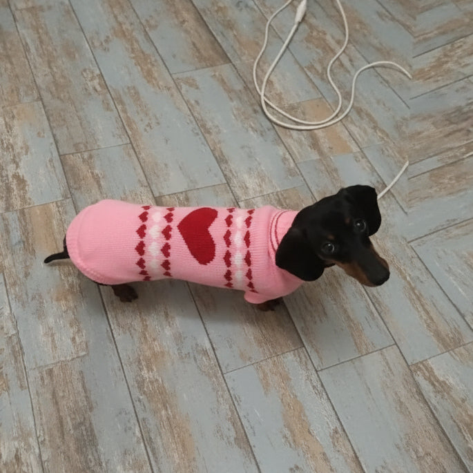 Pretty in Pink: Dachshund Sweater with a Bold Red Heart – The
