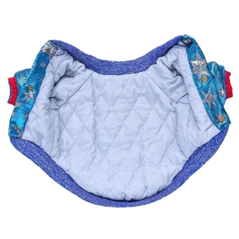 Planet Sequin Dachshund Jacket The Doxie World