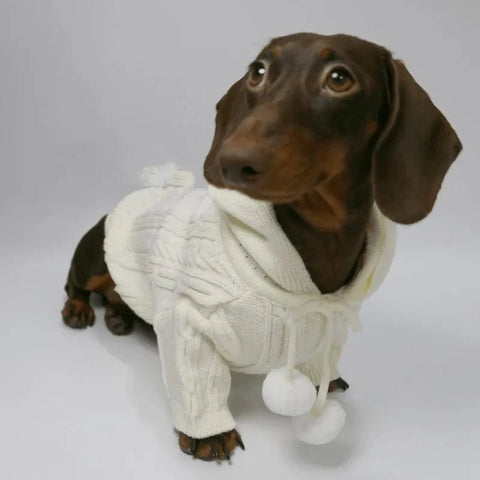 Pom Pom Weenie Dog Sweater The Doxie World