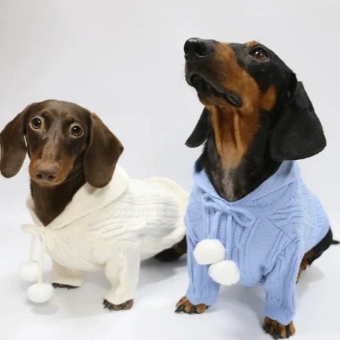 Pom Pom Weenie Dog Sweater The Doxie World