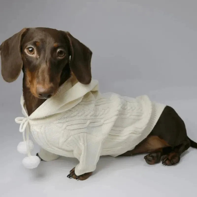Pom Pom Weenie Dog Sweater Beige / XS The Doxie World