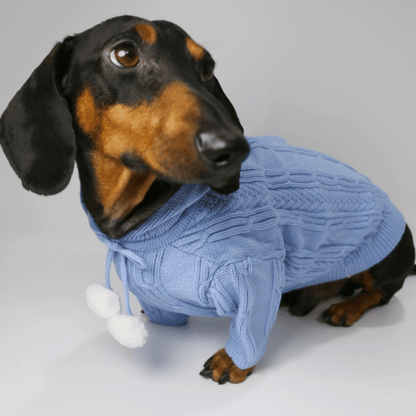 Pom Pom Weenie Dog Sweater Blue / XS The Doxie World