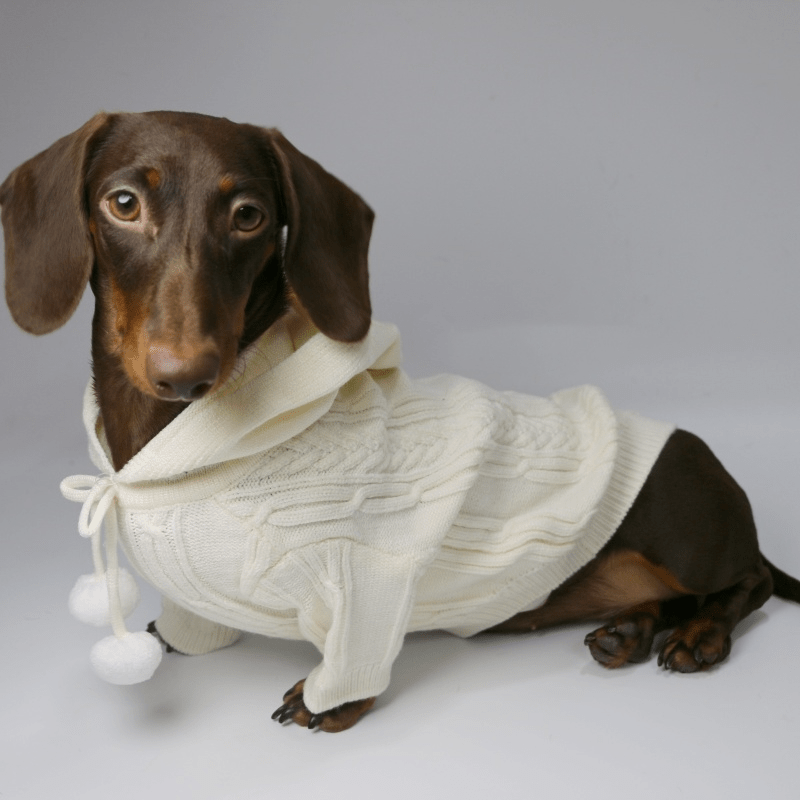 Pom Pom Weenie Dog Sweater Beige / XS The Doxie World