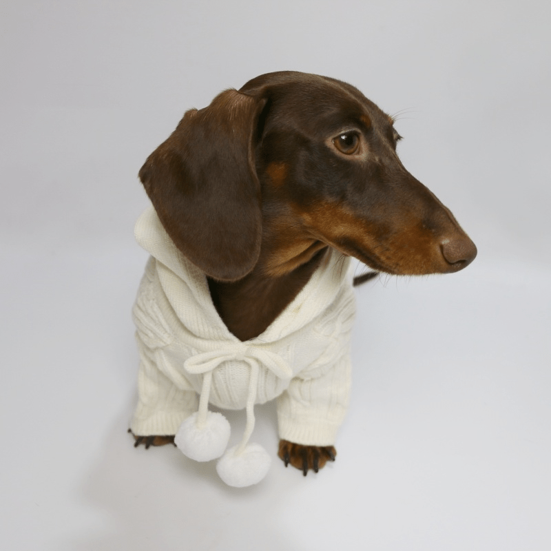 Pom Pom Weenie Dog Sweater The Doxie World