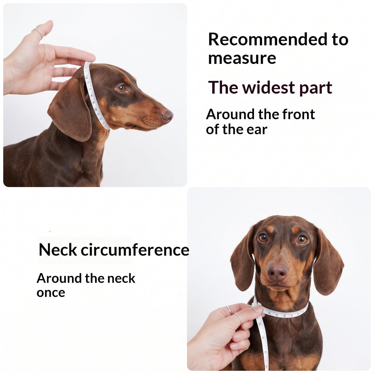 Pom-Poms Dachshund Snood Hat The Doxie World