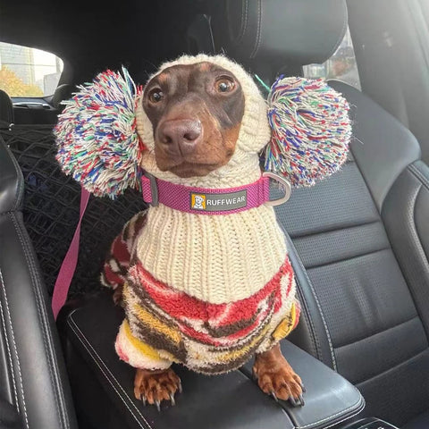 Pom-Poms Dachshund Snood Hat The Doxie World