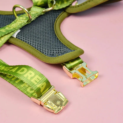 Purple Hearts Dachshund Harness & Leash The Doxie World