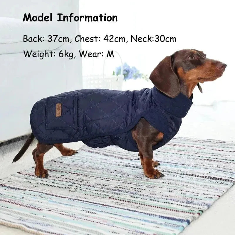 Quilted Wiener Dog Coat The Doxie World