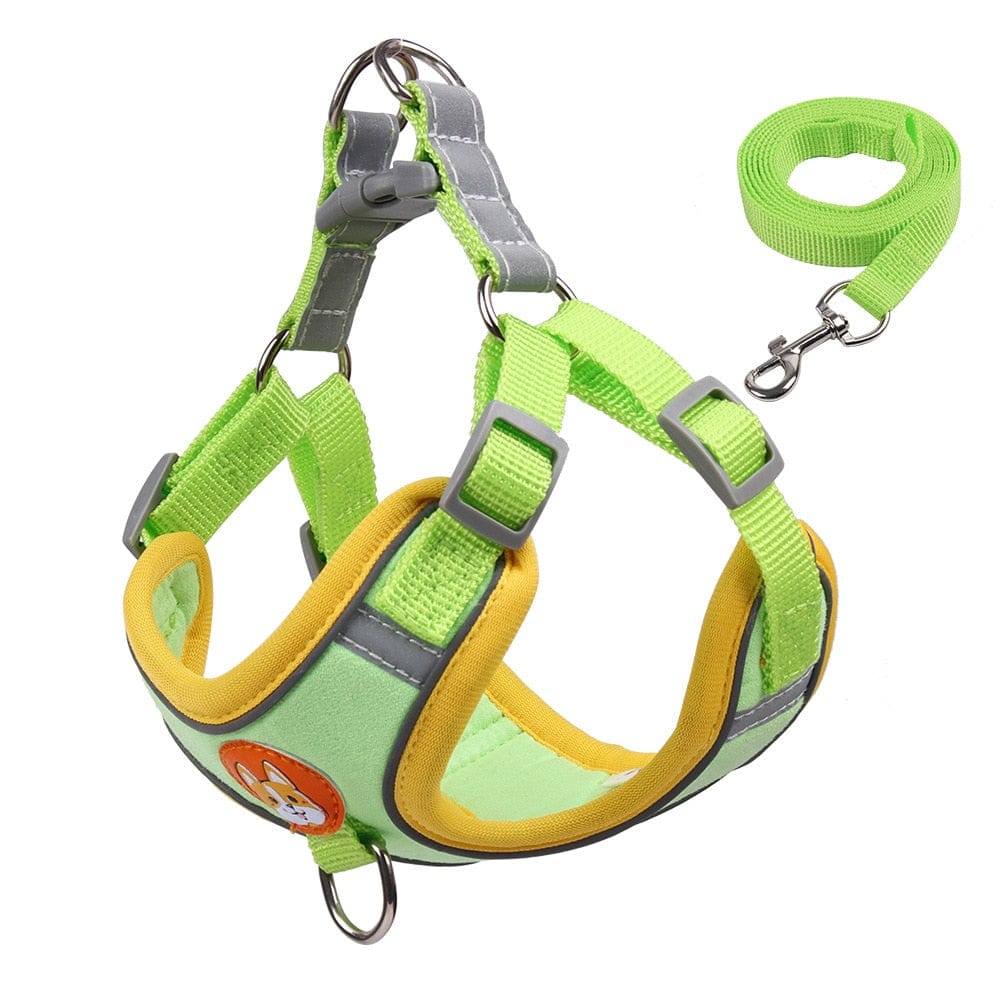 Reflective Dachshund Harness and Leash Set Green / S 2-3 kg The Doxie World