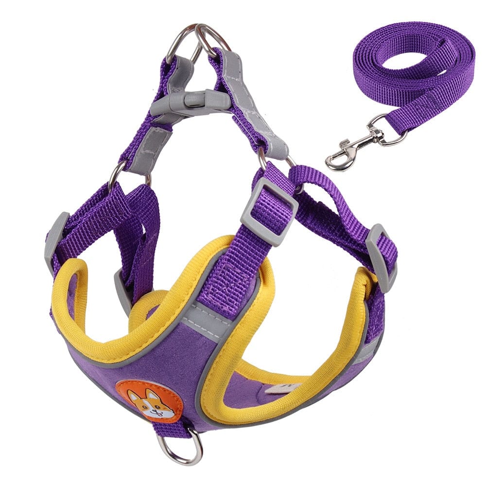 Reflective Dachshund Harness and Leash Set Purple / S 2-3 kg The Doxie World