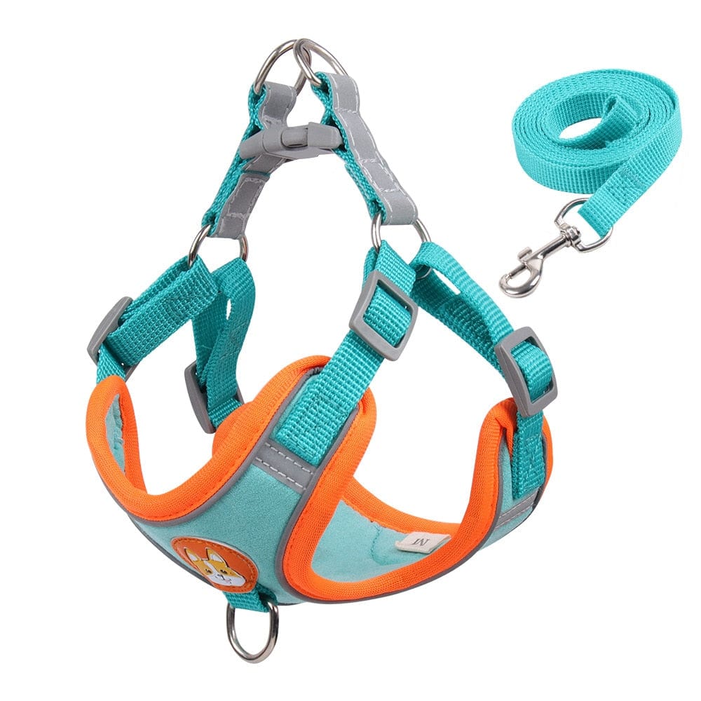 Reflective Dachshund Harness and Leash Set Blue / S 2-3 kg The Doxie World