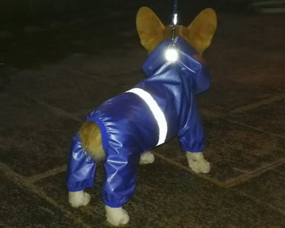 Reflective Dachshund Raincoat The Doxie World