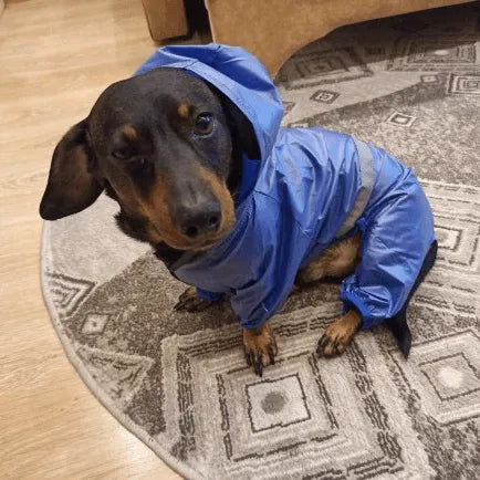 Reflective Dachshund Raincoat Blue / XS The Doxie World