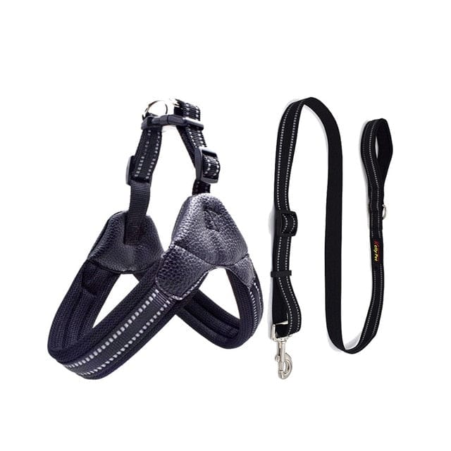 Reflective Dog Harness and Leash Set black set / XS The Doxie World
