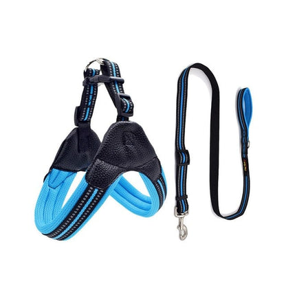 Reflective Dog Harness and Leash Set blue set / XS The Doxie World