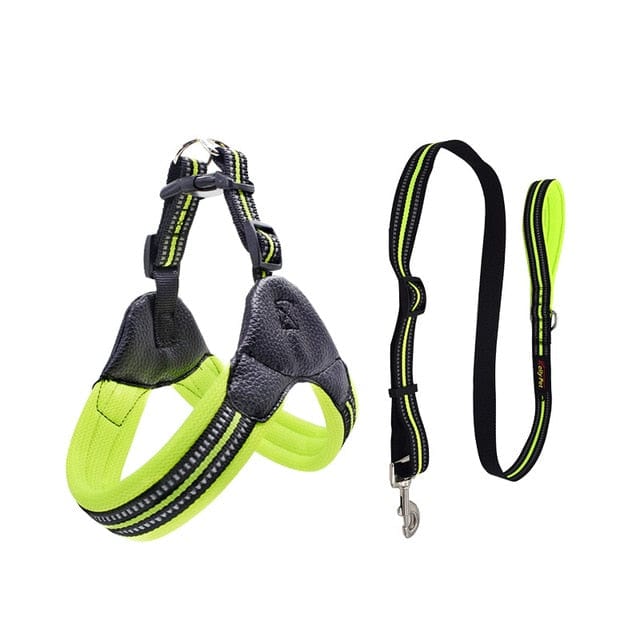 Reflective Dog Harness and Leash Set green set / XS The Doxie World