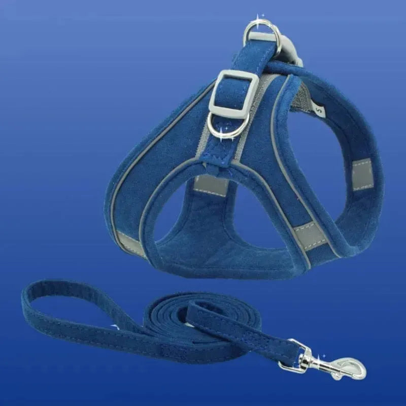 Reflective Leather Dog Harness and Leash Set Navy Blue / XS The Doxie World