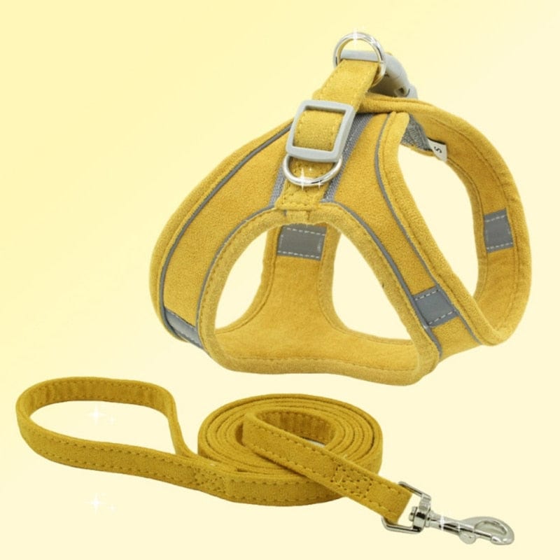 Reflective Leather Dog Harness and Leash Set Yellow / XS The Doxie World
