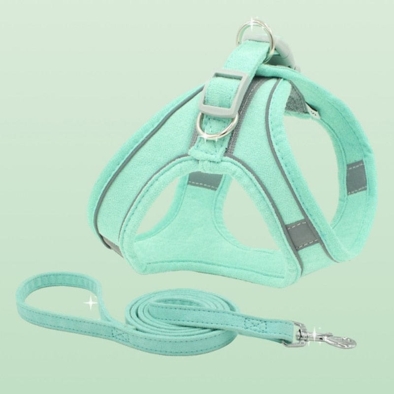 Reflective Leather Dog Harness and Leash Set green / L The Doxie World