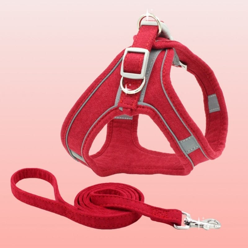 Reflective Leather Dog Harness and Leash Set Red / XS The Doxie World