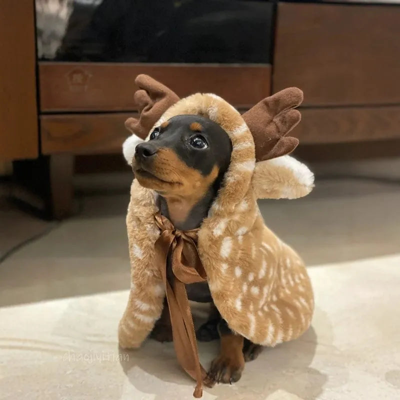 Reindeer Costume for Dachshunds Brown / L