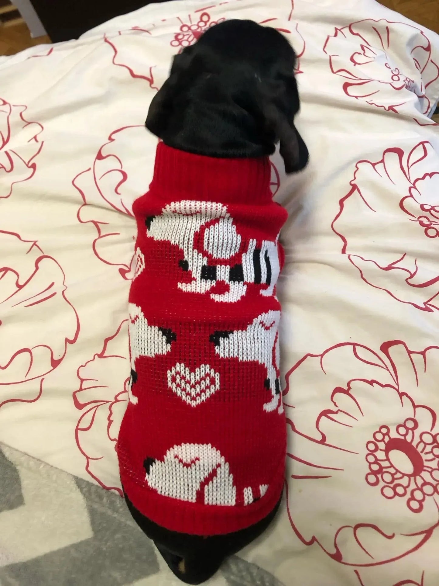 Reindeer Sweater for Sausage Dog The Doxie World