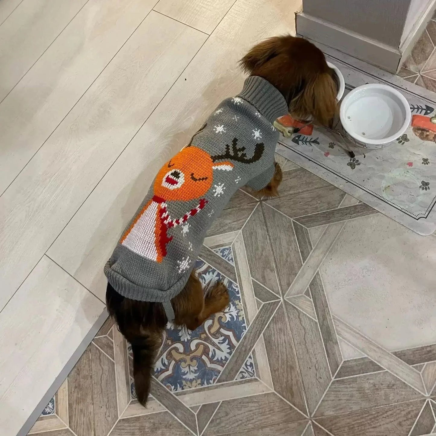 Reindeer Sweater for Sausage Dog The Doxie World