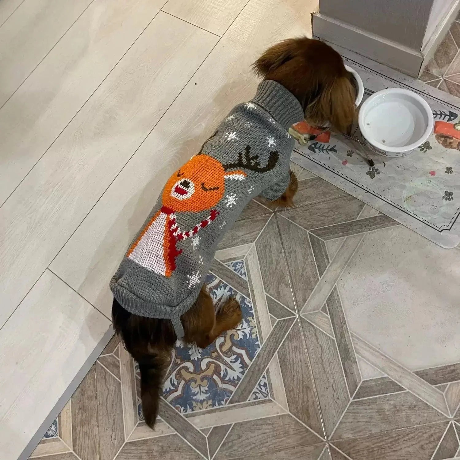 Reindeer Sweater for Sausage Dog The Doxie World