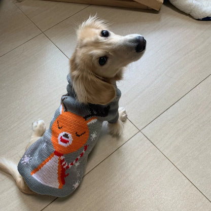 Reindeer Sweater for Sausage Dog The Doxie World