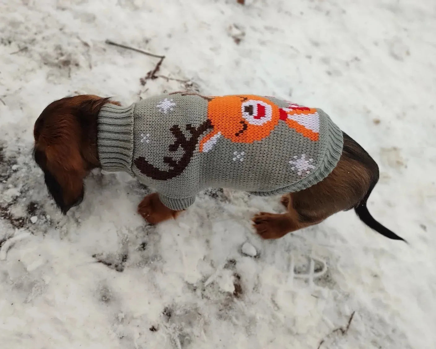 Reindeer Sweater for Sausage Dog The Doxie World