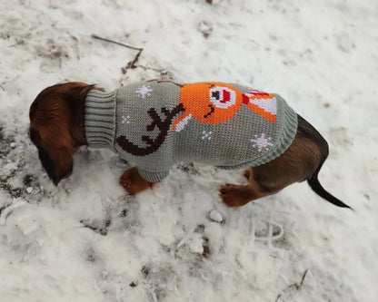 Reindeer Sweater for Sausage Dog The Doxie World
