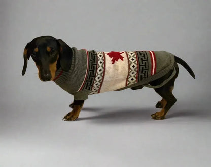 Reindeer Sweater for Sausage Dog Canadian Flag / 6 The Doxie World