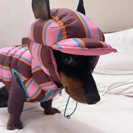 Reversible Wiener Dog Jacket – The Doxie World