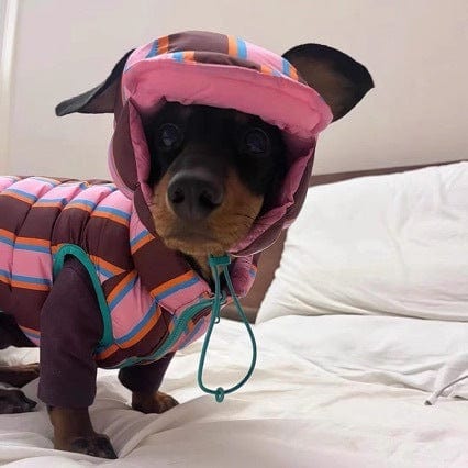 Reversible Wiener Dog Jacket The Doxie World