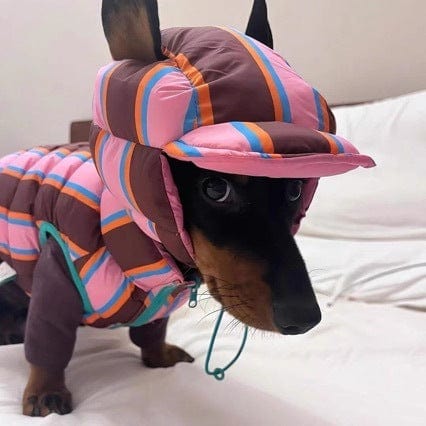 Reversible Wiener Dog Jacket The Doxie World