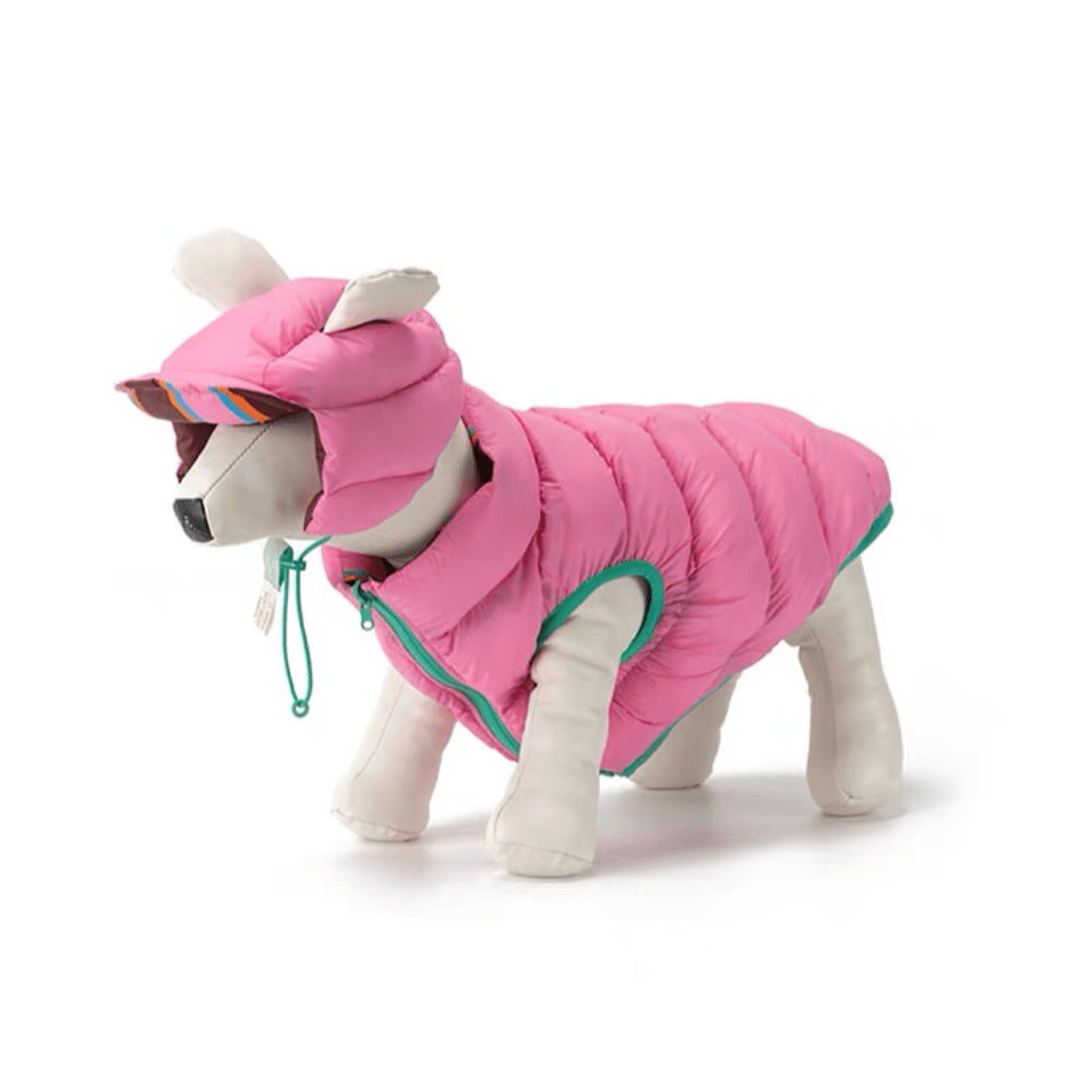 Reversible Wiener Dog Jacket The Doxie World