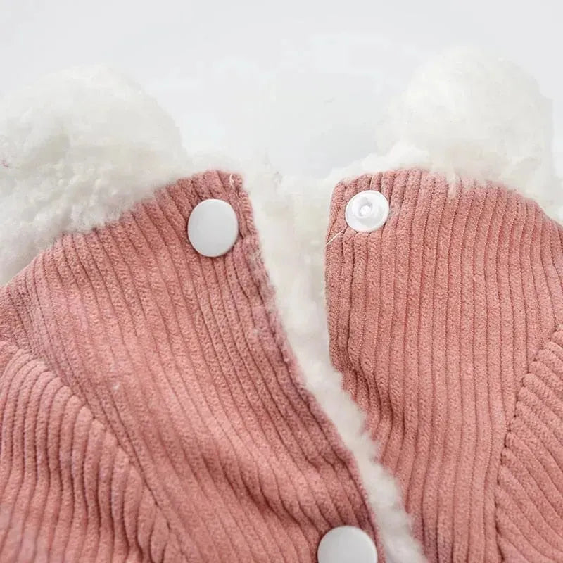 Ribbed Velvet Dachshund Jacket The Doxie World