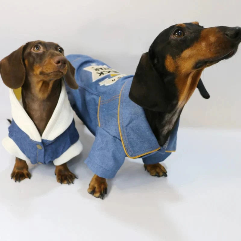 Rock star Denim Dachshund Jacket The Doxie World